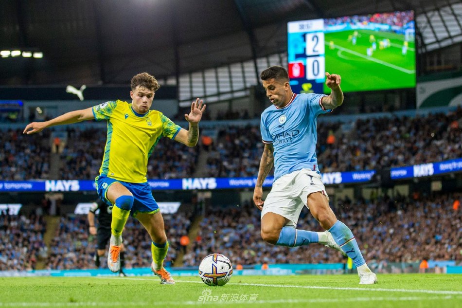 后来加盟迈 后来加盟迈